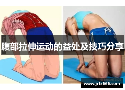 腹部拉伸运动的益处及技巧分享 腹部拉伸运动的益处及技巧分享